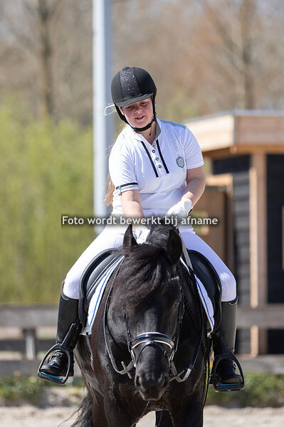 Caroline Conradi - Meinte fan Bokkum