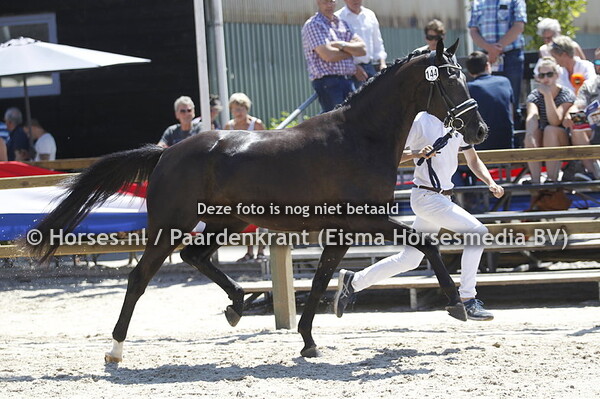 144 Kizz the Troublemaker v Franklin