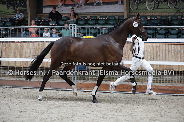 309 Madison Ave (For Romance x Avantina v. Fidertanz)