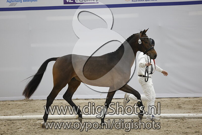 Paladijn v. Livius - 502