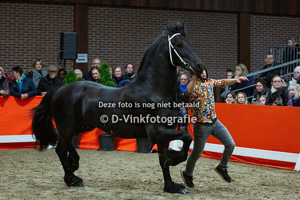 Alwin 469 met nakomelingen