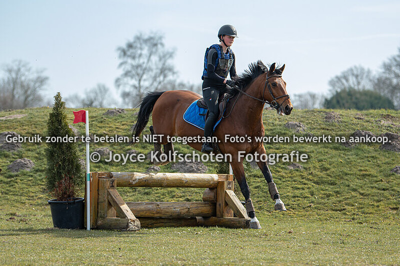 B Paard  (zonder dressuur)