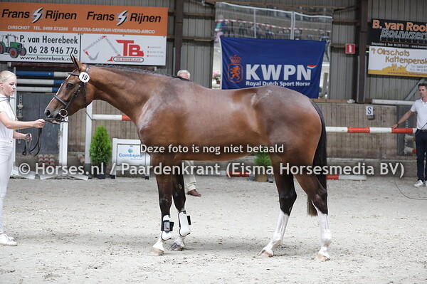 19 Marietje Hop (Grandorado TN x Z.Jopie R v. Rhodium)