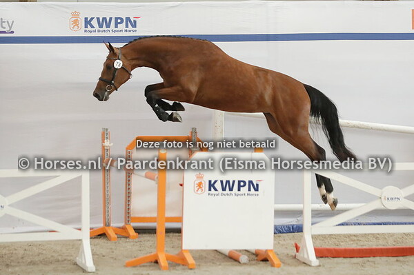 73 Prima Donna (La Costa x Femme Fatale v. Corland)