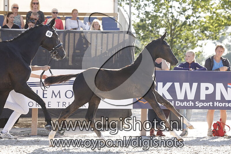 Total Mc Laren II v. Totilas