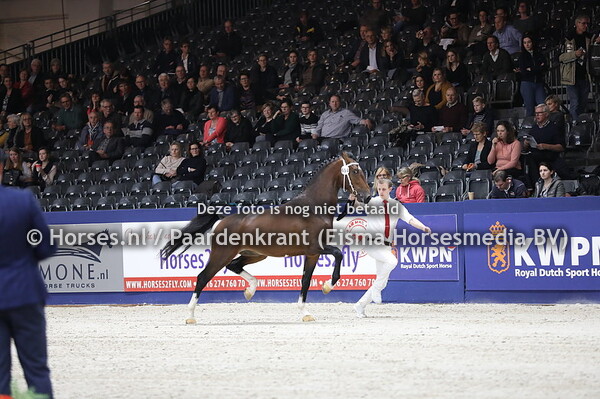 654 Max van het Rodeland