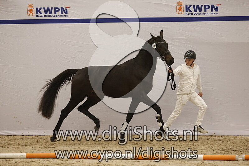 Seabiscuit B v. Sir Donnerhall I