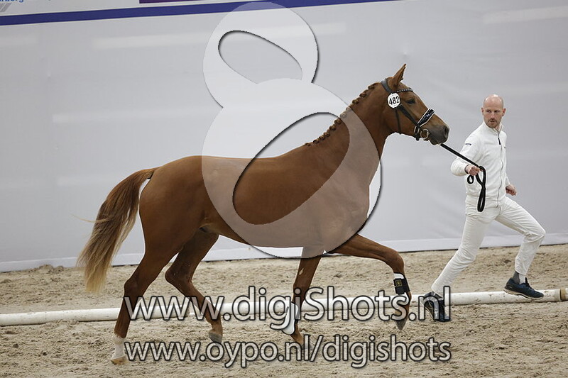 Pumpkin v. Le Formidable - 482