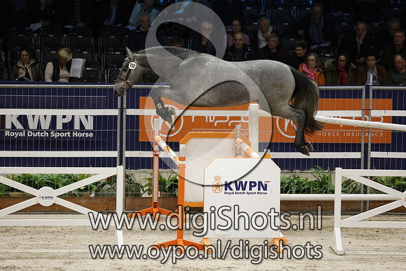 Radetski v. Lifeguard - 112