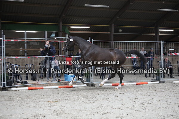 72 Maylympia G. (Franklin x Elympia v. Krack C)