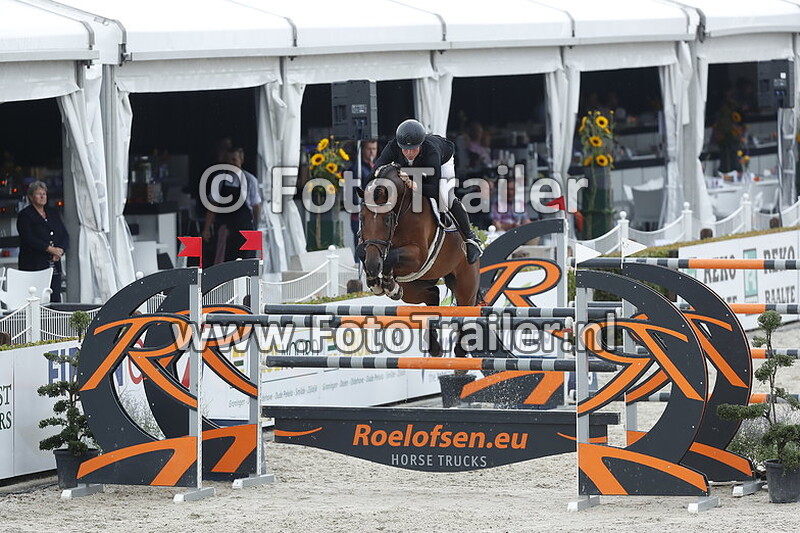 dennis van den brink