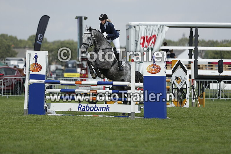 robert van de waerdt