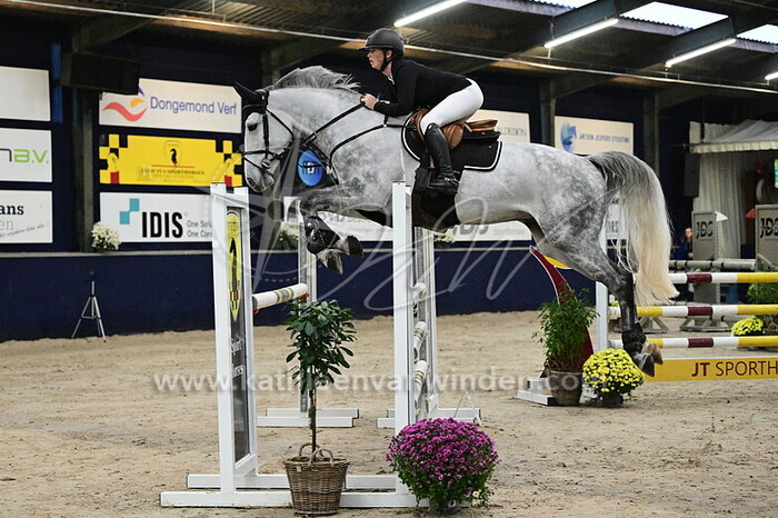 Noelle van der Velde - Brexit Z