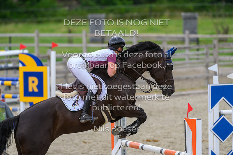 4 Paarden 1.20m 2 fasen special