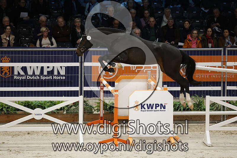 Riado Vd Radstake v. Diarado - 053