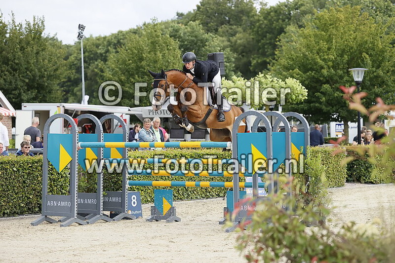 dennis van den brink