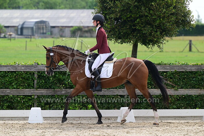 Jint van Ginkel - Campina RB