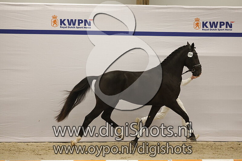 So Total v. Total Hope