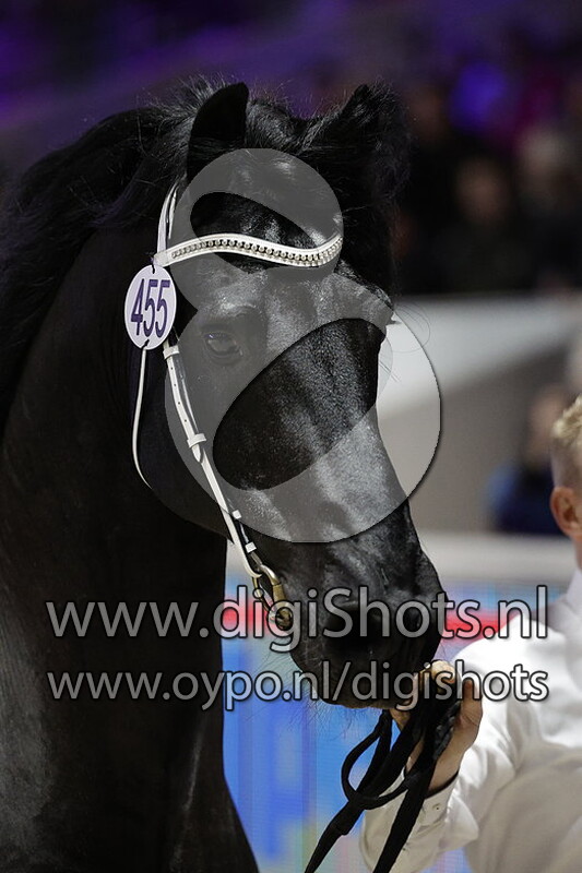 Take 455 v. Jakob 302