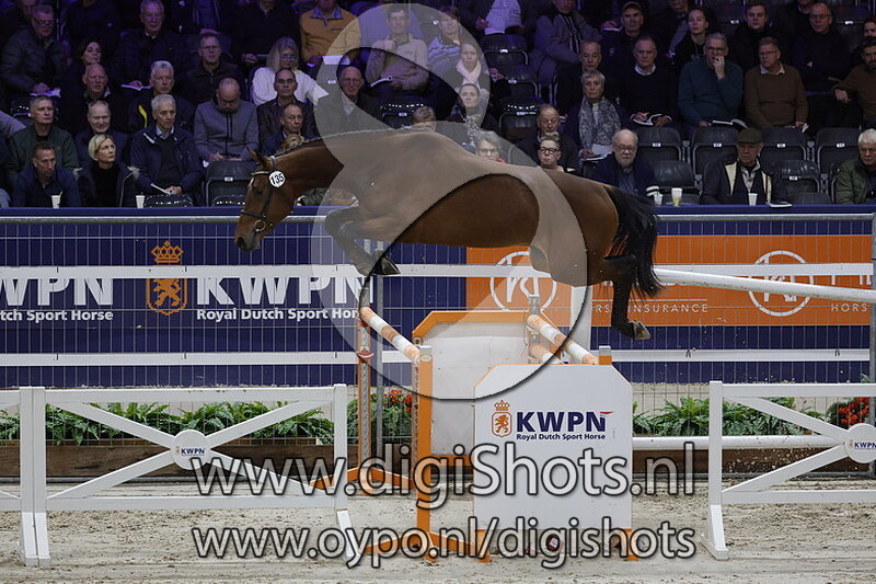 Pasquilini v. Kitt SB - 135