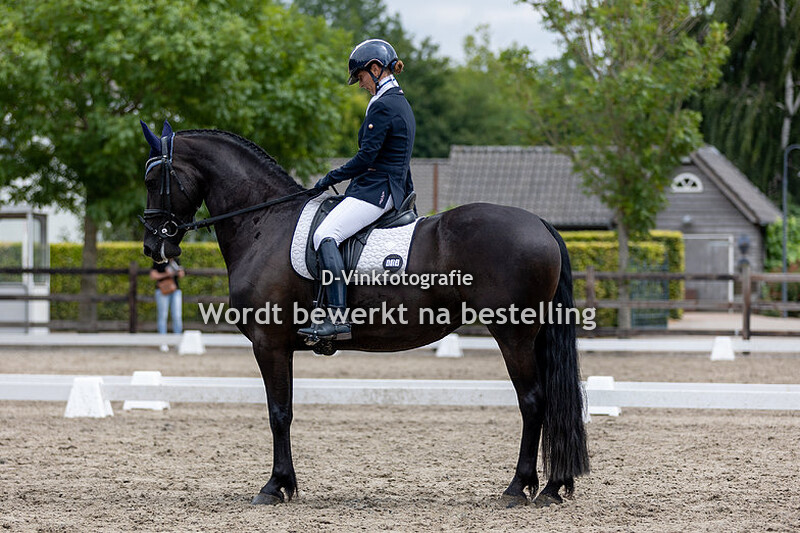 Nele vanderlocht - Hanneke van de Spekebeemden