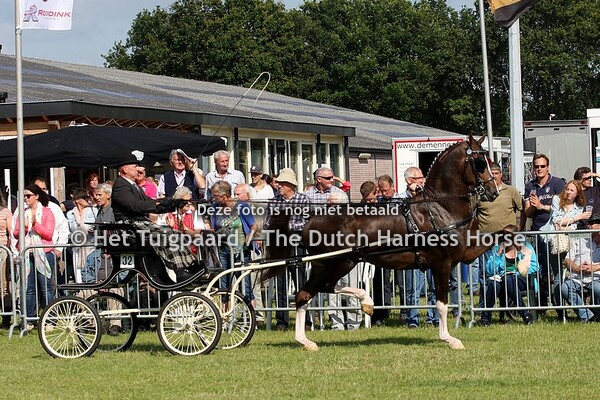 Eebert (Atleet x Manno)