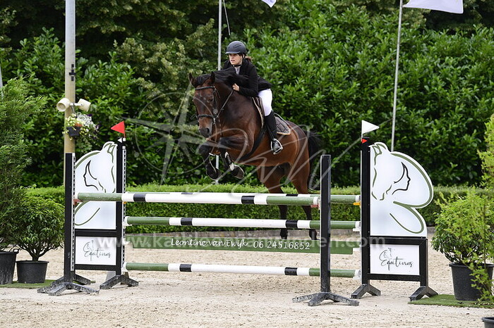 Sofie van Looveren - Lollypop van de Mereyt
