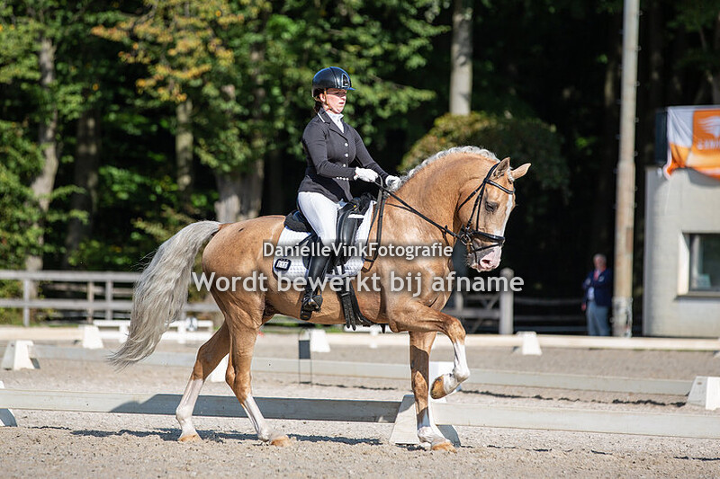 Karina van Bruggen - Edmundo