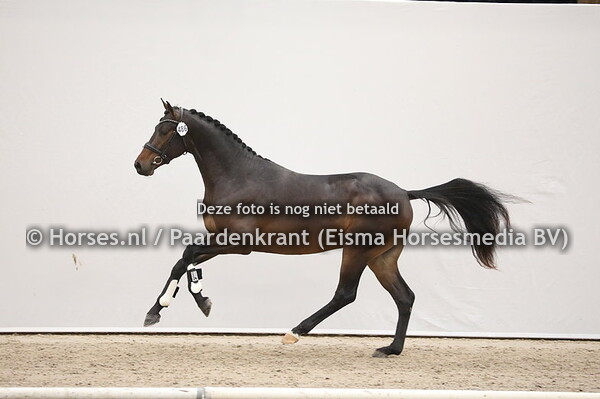 486 Incognito x Galaxie