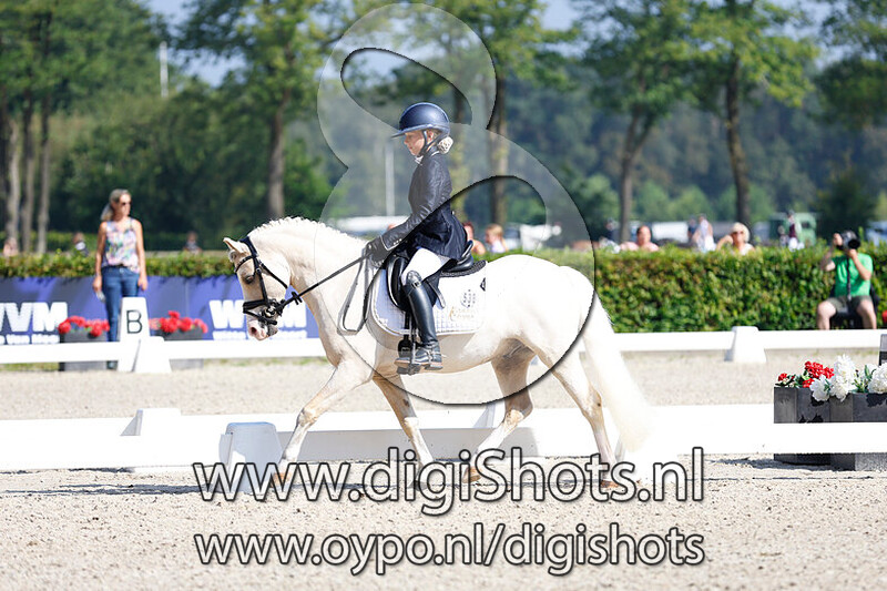 Ring 7 Klasse B cat AB