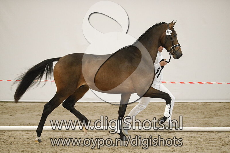 Mooiman v. Desperado