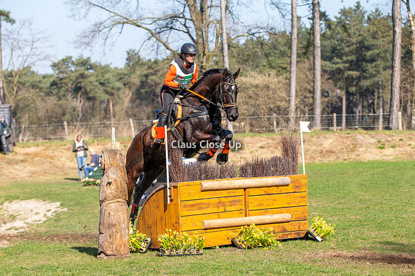 CCI1* Intro