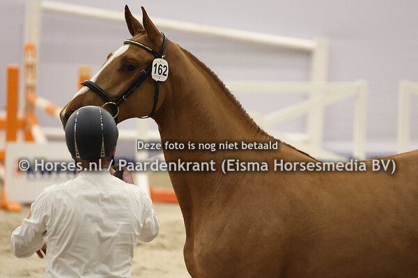 162 (Baloucan x Catoki)