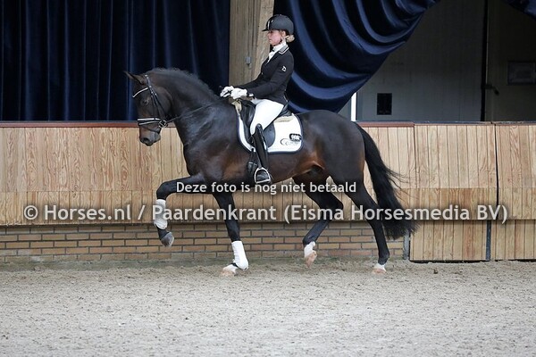 12-04-2021 VO KWPN dressuurhengsten