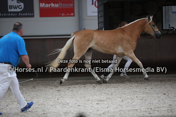 57 Astoria van Neauvoorde (Walzertraum x Allena)