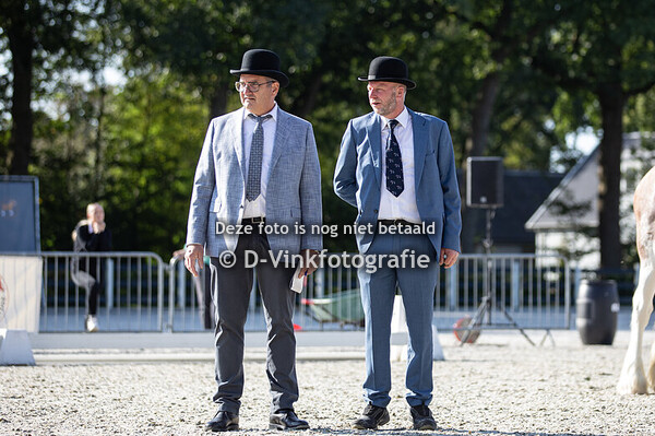 04. Heavy horse klasse