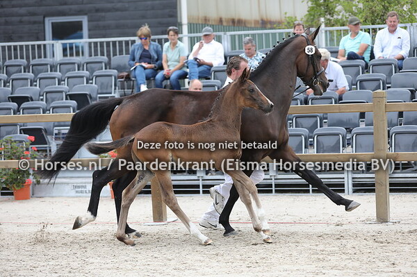 58 Senna Rose QDH HTC