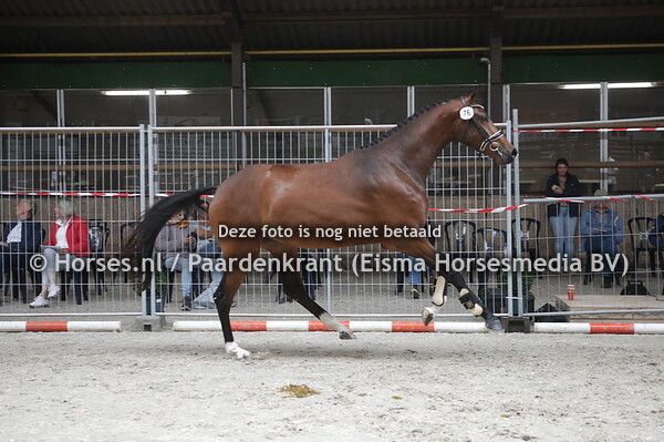 76 Make My Day VS (Zwirintha v. Tenerife)