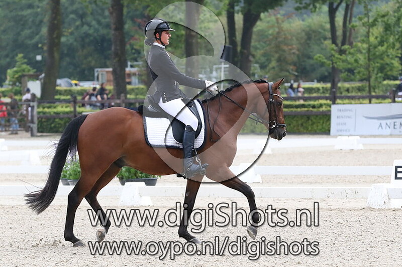 Ring 4 Klasse M1 cat DE