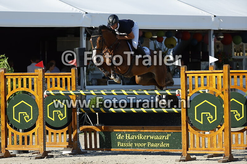 dennis van den brink