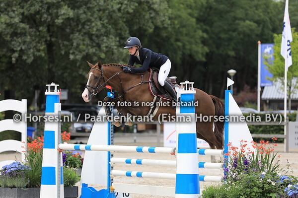 29 King HBC v Dantos HBC