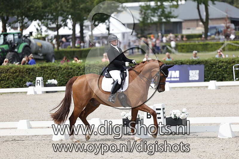 Ring 7 Klasse ZZ Licht Paarden vanaf 10.57