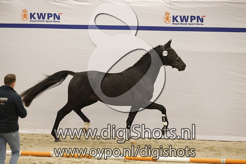 Sir Romancier BB v. Next Romancier