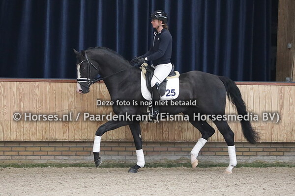 25 New Orleans (Blue Horse Farell x Jazz)