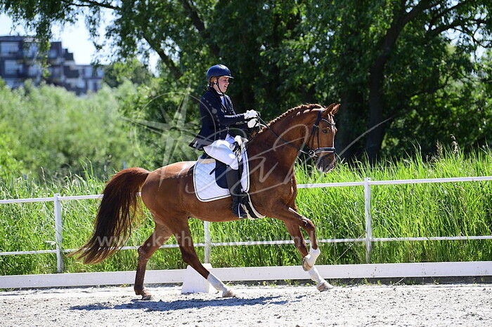 Pauline Damen - Oosthoek