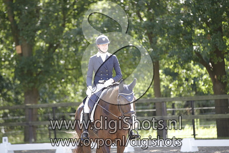 Django vd Wateringhoeve