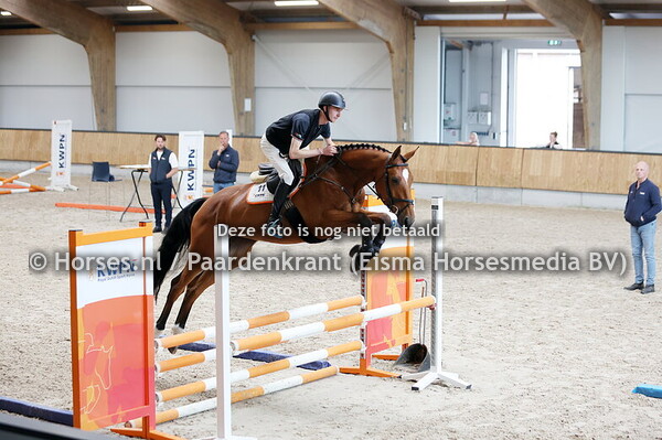 11 Rovyra (Mindset ES x Cabachon)