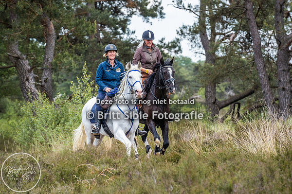 Eper Paardenvierdaagse - Eper Paarden4daagse DINSDAG