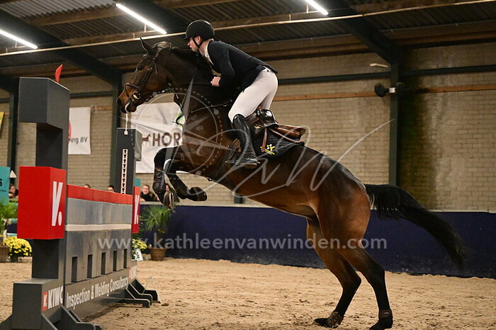 Thieu Huijbregts - Nevertera