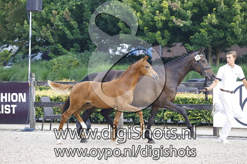 072 Red Heat v. Kjento